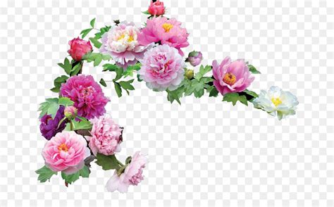 Flor As Rosas Do Jardim Encapsulated Postscript png transparente grátis