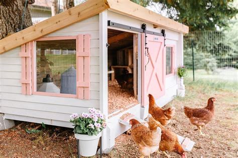 the sweetest backyard pink and white chicken coop for hobby farms chicken garden backyard
