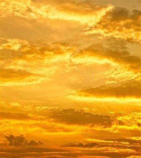 Golden Sky Tags Ignore Yellow Beauty Sky Clouds Nature