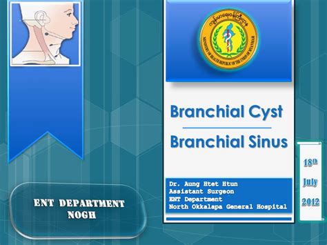 Dr Aung Htet Htun Mbbs Mgy Branchial Sinus