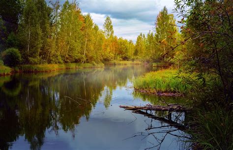 Free Image on Pixabay - Autumn, Landscape, Pond | Landscape, Autumn landscape, Landscape pictures