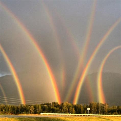 Double Rainbow Twinned Rainbow Full Circle Rainbow Gandi Meteorologicalconsultant