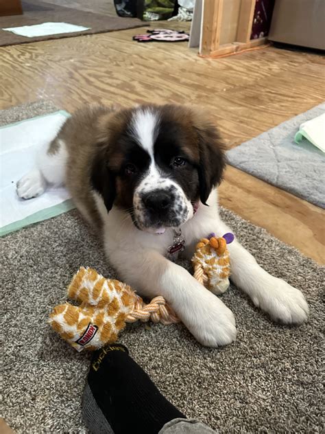 Kenny & Ryan Were Great!! They Arrived Way Earlier Than Expected And