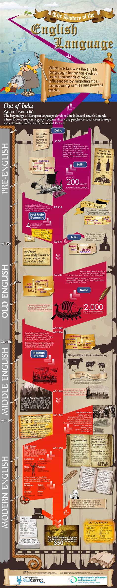 Educational Infographic The History Of The English Language