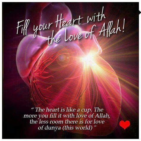 Love Allah Swt Quran Verses Allah Hadith Of The Day