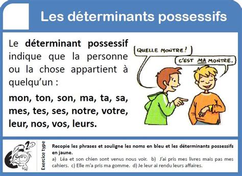 les déterminants possessifs grammaire française la grammaire et fle