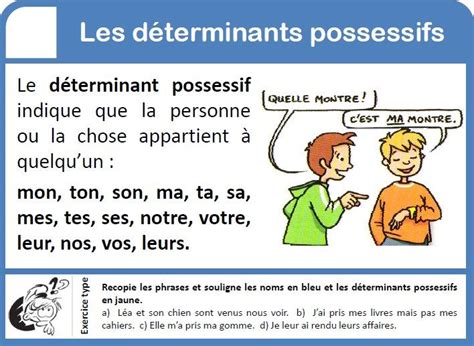 Les Adjectifs Possessifs Les Déterminants Les Adjectif