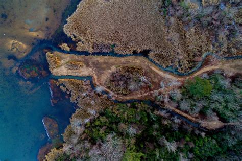 Oceanography Estuaries And Water Quality