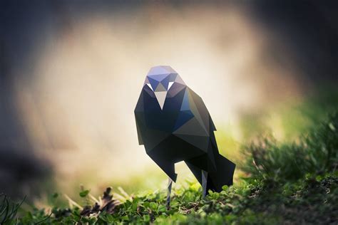 4530813 Digital Art Raven Crow Triangle Nature