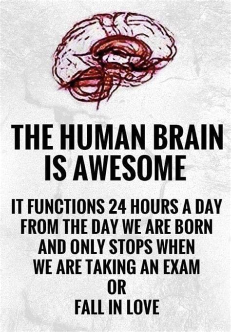 Pin By Sandi Kramer On Quotes To Live By ️ Take Exam Human Brain Quotes To Live By