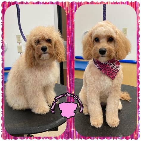 Have any of you ever experienced burnout? This October will be my fifth