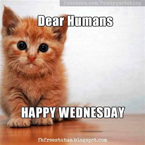 And it was made worse when he realized it was actually tuesday. tags: Inspirational Wednesday Quotes With Funny Wednesday Memes ...