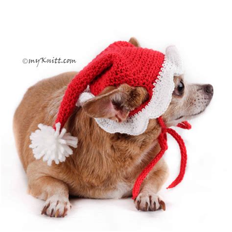 Christmas Elf Dog Costume 2021 Best Christmas Tree 2021