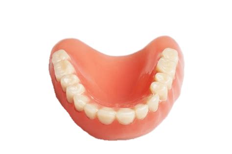 False Teeth Lower Denture | PNGlib – Free PNG Library png image