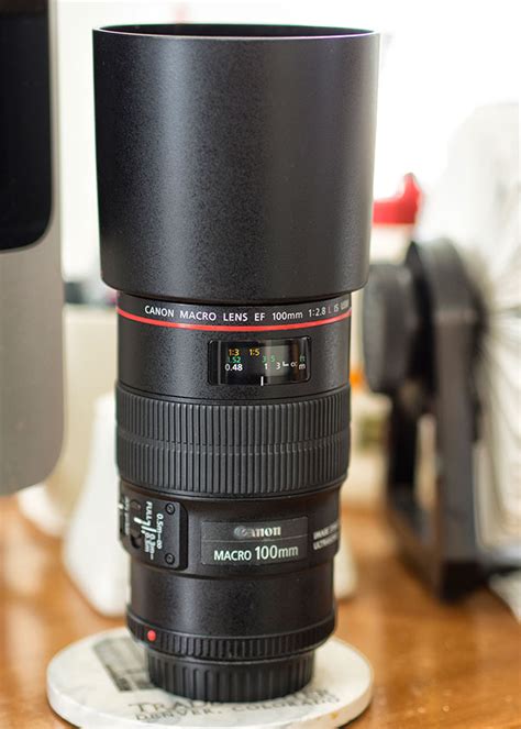 Canon Ef 100mm F28l Macro Is Usm Lens Review Up Close And Personal With A Classic Canon Macro