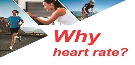 The Importance Of Exercise Heart Rate Required By Fitness Enthusiast