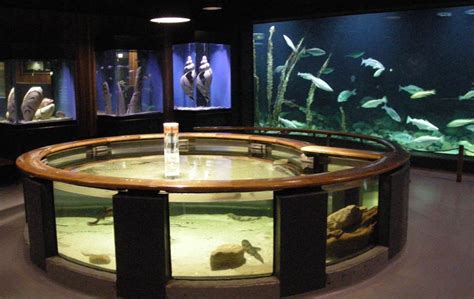 Tickets, tours, hours, address, marinemuseum reviews: Esbjerg Maritime Museum & Aquarium - euro-t-guide - What ...