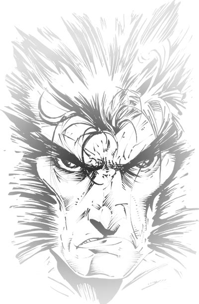 Wolverine Todd Mcfarlane Homage Ink Drawing By Loris Stavrinides