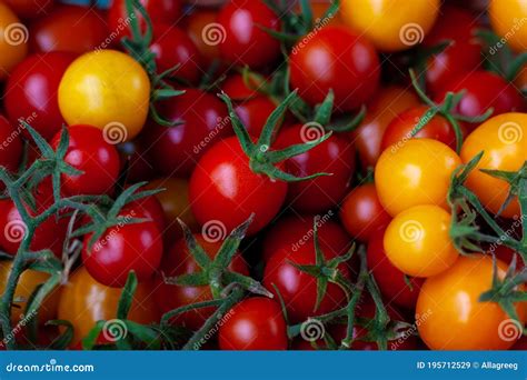 Red And Yellow Cherry Tomatoes Top View Harvest Vegetables Tomato On