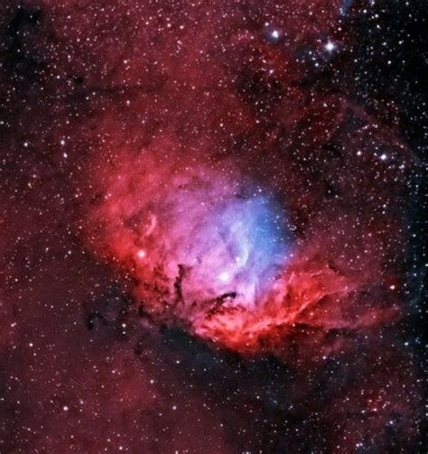 The Tulip Nebula A Bright Emission Nebula Annes Astronomy News