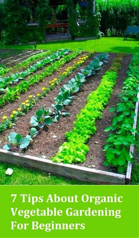 Organic Gardening Organic Garden Vegetable Gardening Starting Plant