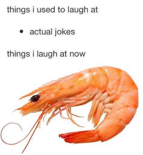 Shrimp Meme