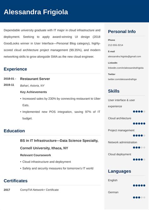 Job Beginner Professional Resume Examples Free Documents