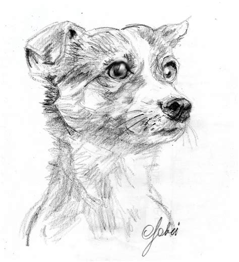 Tatuaggio realistico disegni bellissimi e difficilissimi inkdome. schizzo a matita del cane di Rebecca | Schizzi, Cani e ...