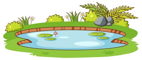 Small Pond With Green Grass On White Background 1445078 Vector Art At