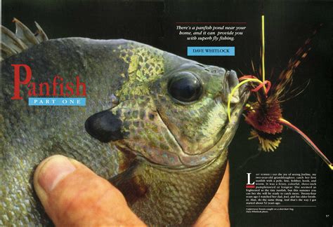 Panfish Part One Dave And Emily Whitlock