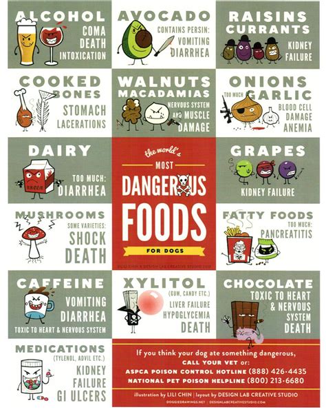Foods your dog can eat without many restrictions. Harmful Foods for Your Dog | Save One Soul Animal Rescue ...