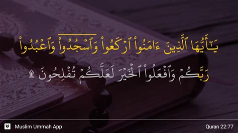 Surah Al Hajj Ayat Terjemahan Dan Tafsir Al Quran Images And