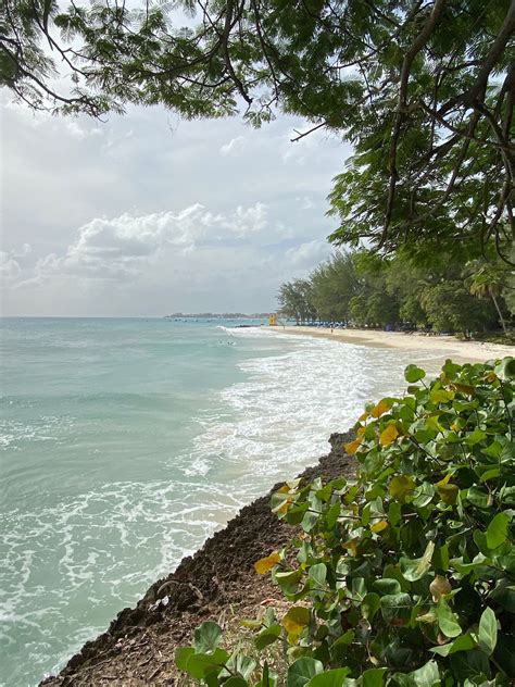 barbados cinco planes para disfrutar de la paradisíaca isla caribeña