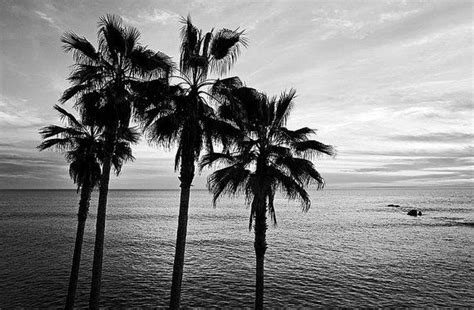 Black And White Beach Photography Sunset By Clearframegallery Beach