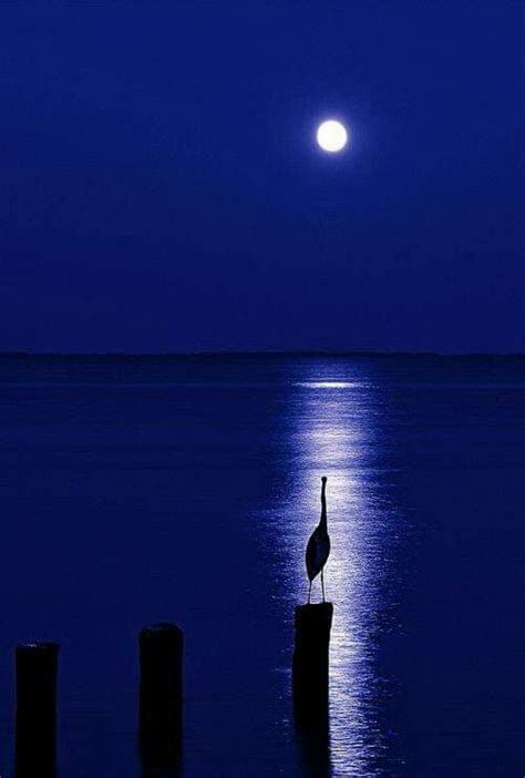 Pin By Mihir Roy On Beautiful Picture Beautiful Moon Nature Photo