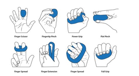 How To Improve Grip Strength Home Physio Group