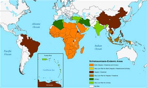-WANDERLUST-: SHIS-toe-SO-my-uh-sis