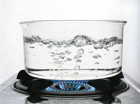 Efemer Capital Parinti Adoptivi Boiling Tap Water Safe Apos Credinţă Acceptabil