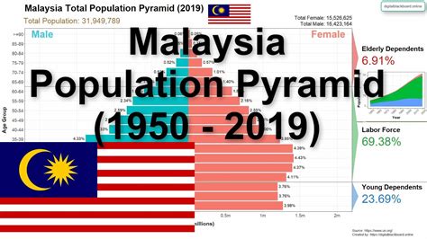 Malaysia Population Pyramid 1950 2019 Youtube