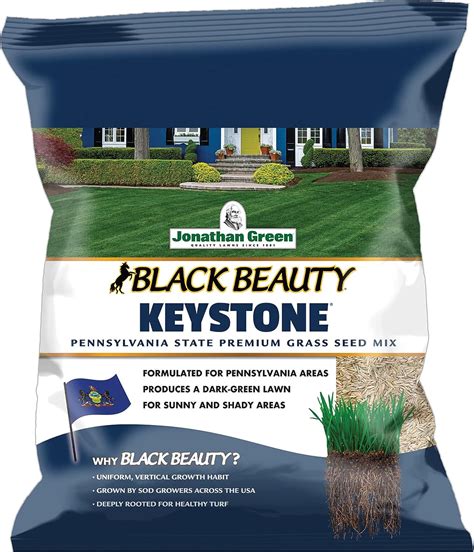 Amazon Com Jonathan Green Black Beauty Keystone PA Grass Seed Made For Pennsylvania