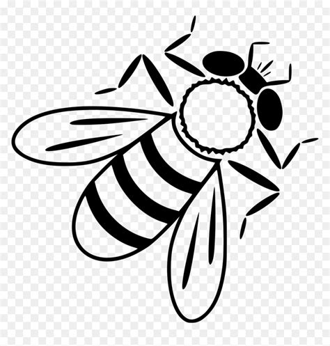 Bee Drone Bee Drawing Hd Png Download Vhv