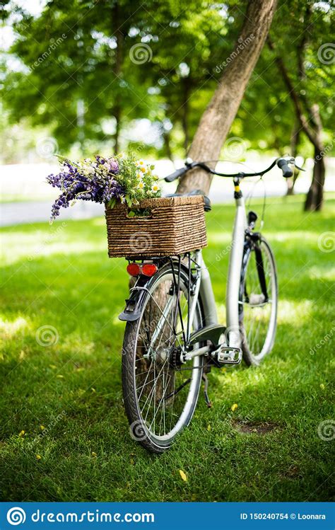 Never place it near the fireplace or open flames. New City Bicycle With Bouquet Of Flowers In Wicker Basket ...