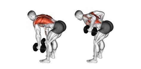 The 30 Best Dumbbell Exercises You Can Do At Home To Get Ripped