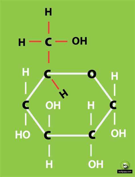 3 Simple Steps Draw The Ring Structure Of Glucose Molecule