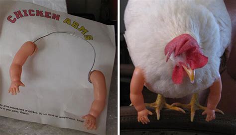 This Chicken Received A Pair Of Muscly Arms In The Mail And Ended Up