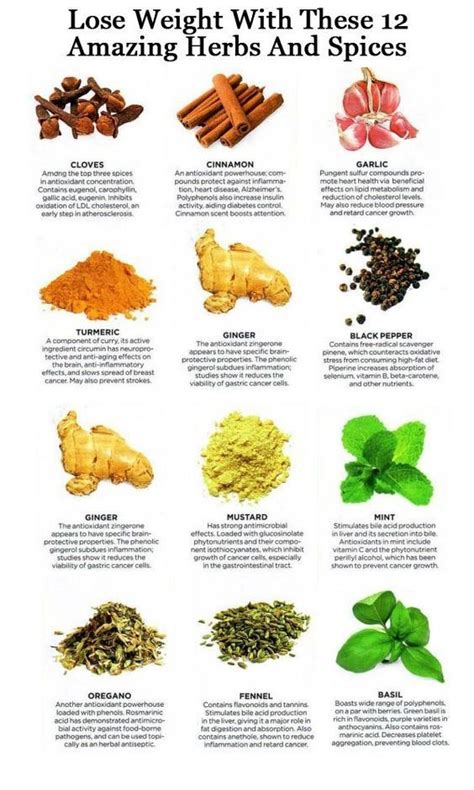 The Names Of Herbs To Lose Weight