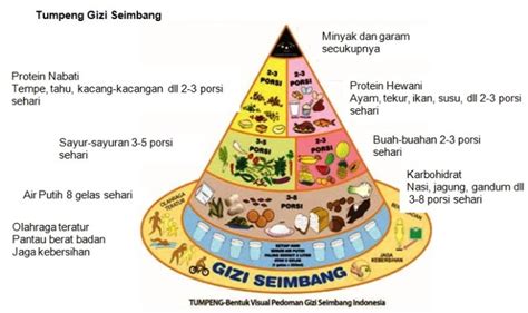We did not find results for: Contoh Gizi Seimbang dalam Menu Makanan | Smartmama