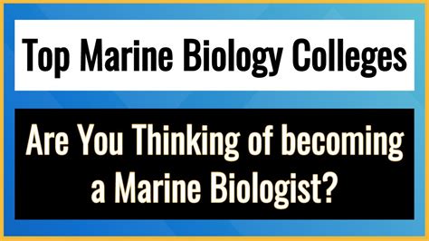 Top Marine Biology Colleges Best Marine Biology Colleges