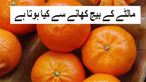 Beauty Benefits Of Orange Seeds Orange Essential Oil In Urduhindi