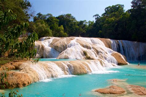 Cascadas De Agua Azul Chiapas Gu A Definitiva Tips Para Tu Viaje
